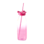 Glass Drinking Bottle with Straw 500ml